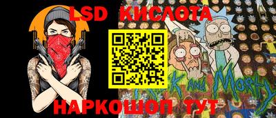 a pvp Камышлов
