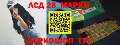 a pvp Камышлов