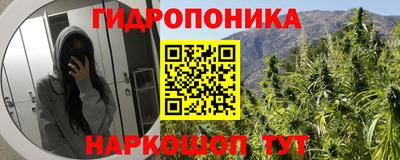 молекула духа Кандалакша