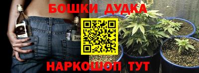 спиды Канаш
