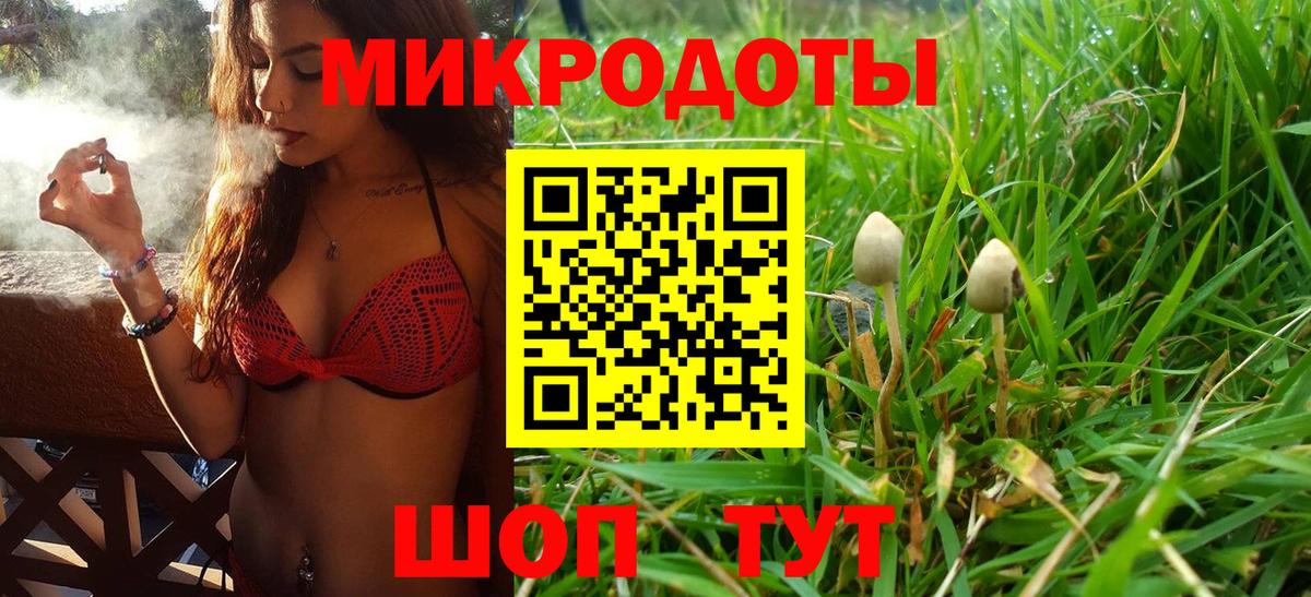 Псилоцибиновые грибы мицелий Черняховск